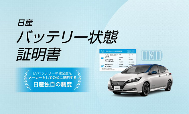 セグ欠け 日産リーフQ&A