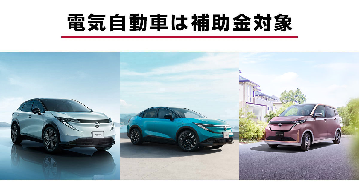 訳アリ格安エコロインターナショナル リーファイバー　2個NMN1個セット期限切れ 推し活収納系インフルエンサーmico氏が監修するライフスタイルブランド